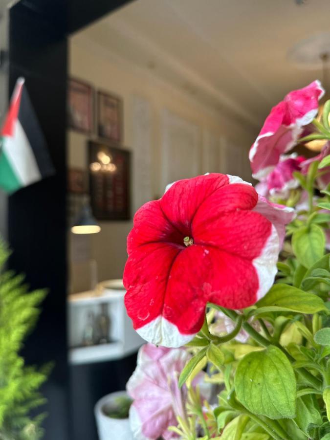 City Citadel Hotel,Amman Eksteriør billede
